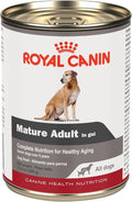 Royal Canin Canine Health Nutrition Mature Dog Food in Gel 13.5 oz