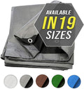 40X60 Silver Tarp Tarpaulin Canopy Tent Cover - Heavy Duty Protection