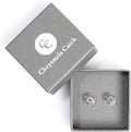 Most Secure Locking Earring Back Platinum - Support Disc
