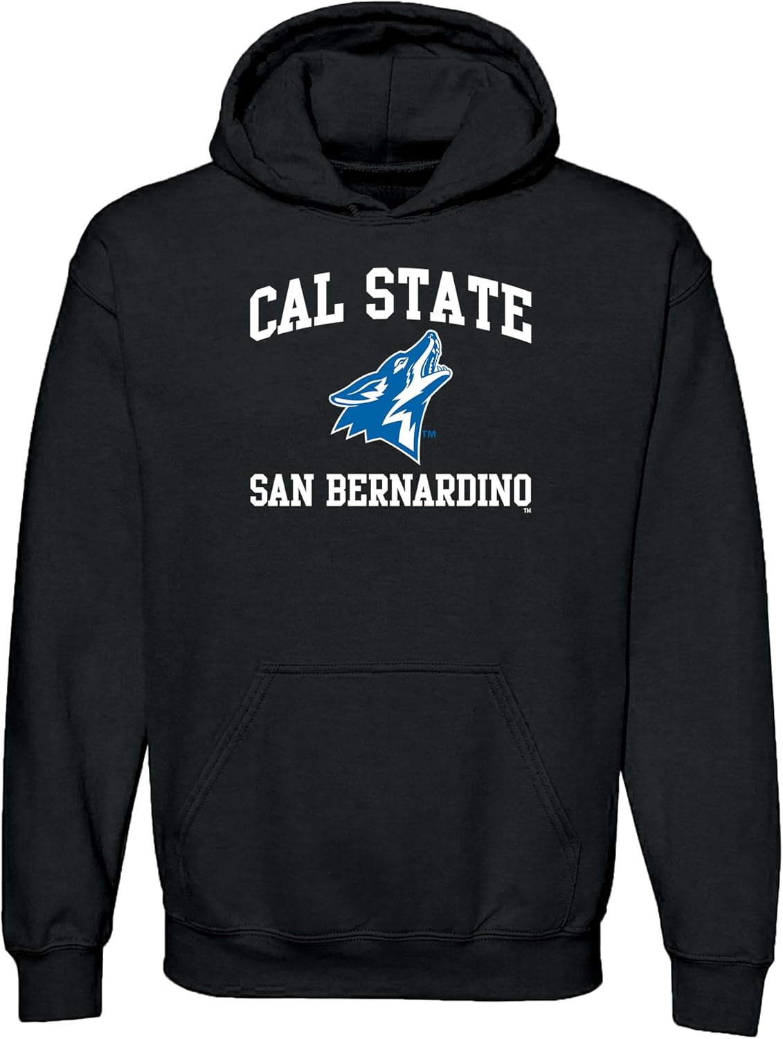 NCAA Officially Licensed College Team Color Arch Logo Hoodie