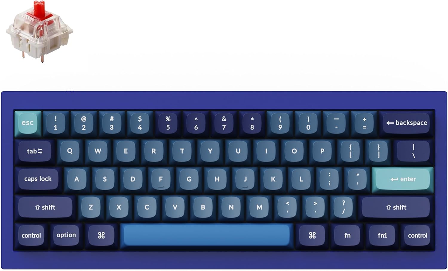 Keychron Q4 Wired Mechanical Keyboard - Hot-swappable Gateron G Pro Red Switch
