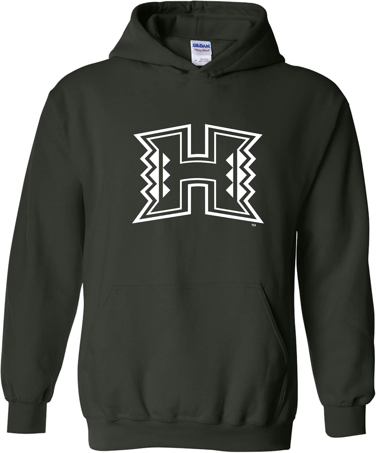 UGP Campus Apparel NCAA Primary Logo Hoodie for School Spirit