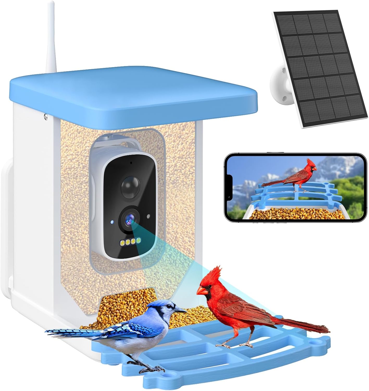 AI Bird Feeder Cam: HD Video, Solar Powered, Live View