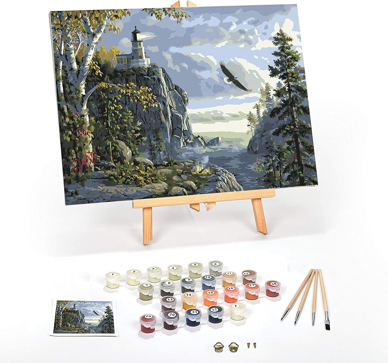 Ledgebay DIY Paint by Numbers Kit for Adults - Creative Fun
