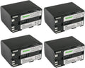 Kastar 4-Pack Battery Replacement for Canon Cameras - Long Life