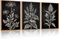 Vintage Floral Framed Canvas Wall Art Set - Neutral Botanical Triptych