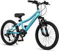 AVASTA Govet 20ft Kids Mountain Bike for 6-12 Years Old - Easy Ride