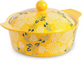 Wisenvoy Casserole Dish With Lid - Ceramic Baking Dish for Oven