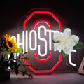 Pugna Football Neon Signs for Wall Decor - Bright LED Dorm & Game Room