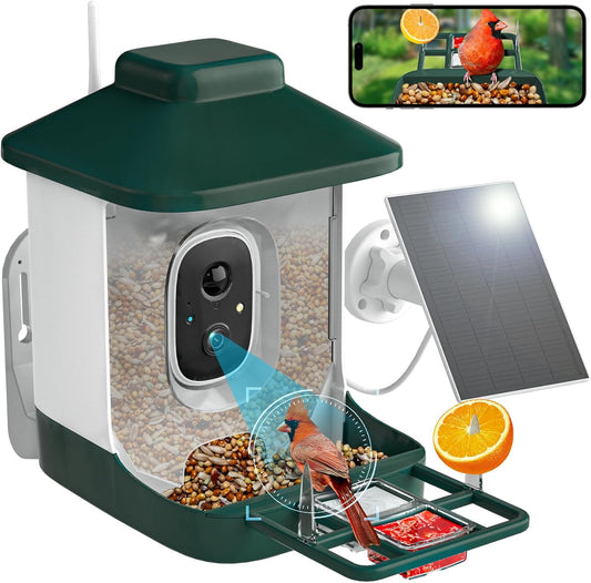 AI Bird Feeder: Identify Birds Live in 1080p!