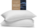 Cool+ Cooling Pillow Case Set of 2 Queen - Luxurious Cool Comfort