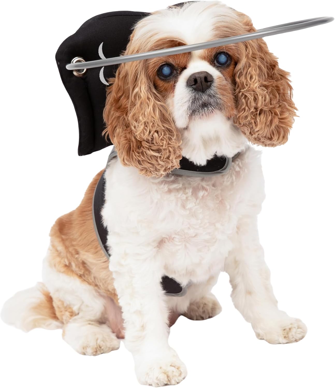 Muffins Halo Original Blind Dog Halo for Safe Navigation & Confidence