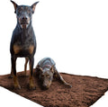 Soggy Doggy Doormat Plain Solid Color Design - Ultra Absorbent Wet Dog