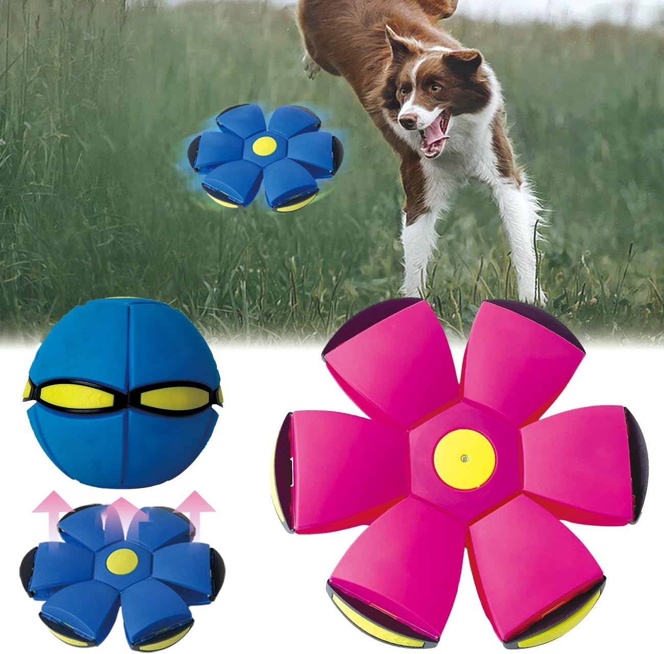 Interactive Light-Up Pet Saucer Toy Set - Fun for All!