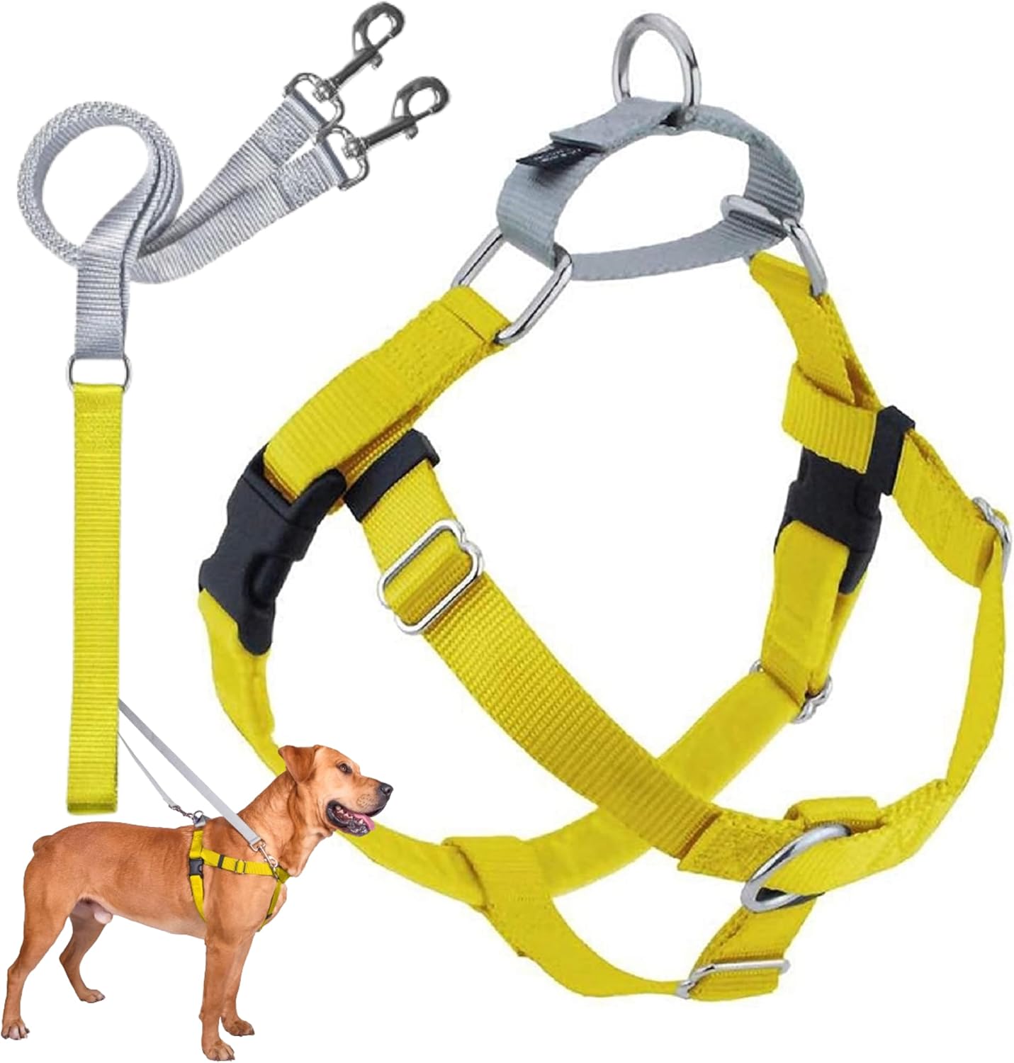 Freedom No Pull Dog Harness for Easy Walking & Control
