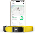 Smart Dog Tracker Collar - Fi Series 3+ GPS with Health Monitor