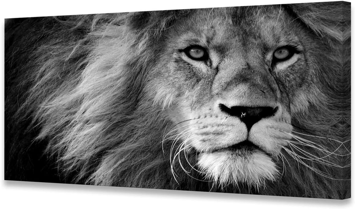 Baisuart Modern Giclee Canvas Prints of Black and White Lion
