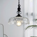 Vintage Glass Pendant Light Fixture Black - Adjustable Farmhouse