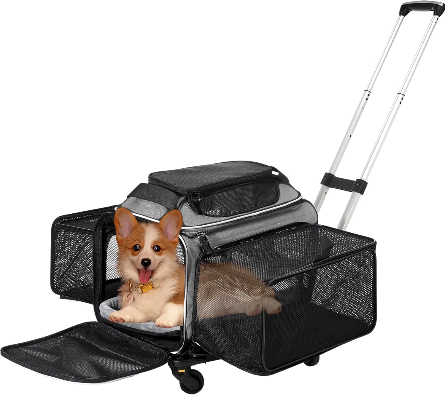 Airline Approved Top-Expanding Pet Carrier on Wheels for Travel