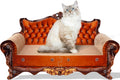 Sofa Shaped Scratching Couch - Oversized Cat Scratcher Sofa