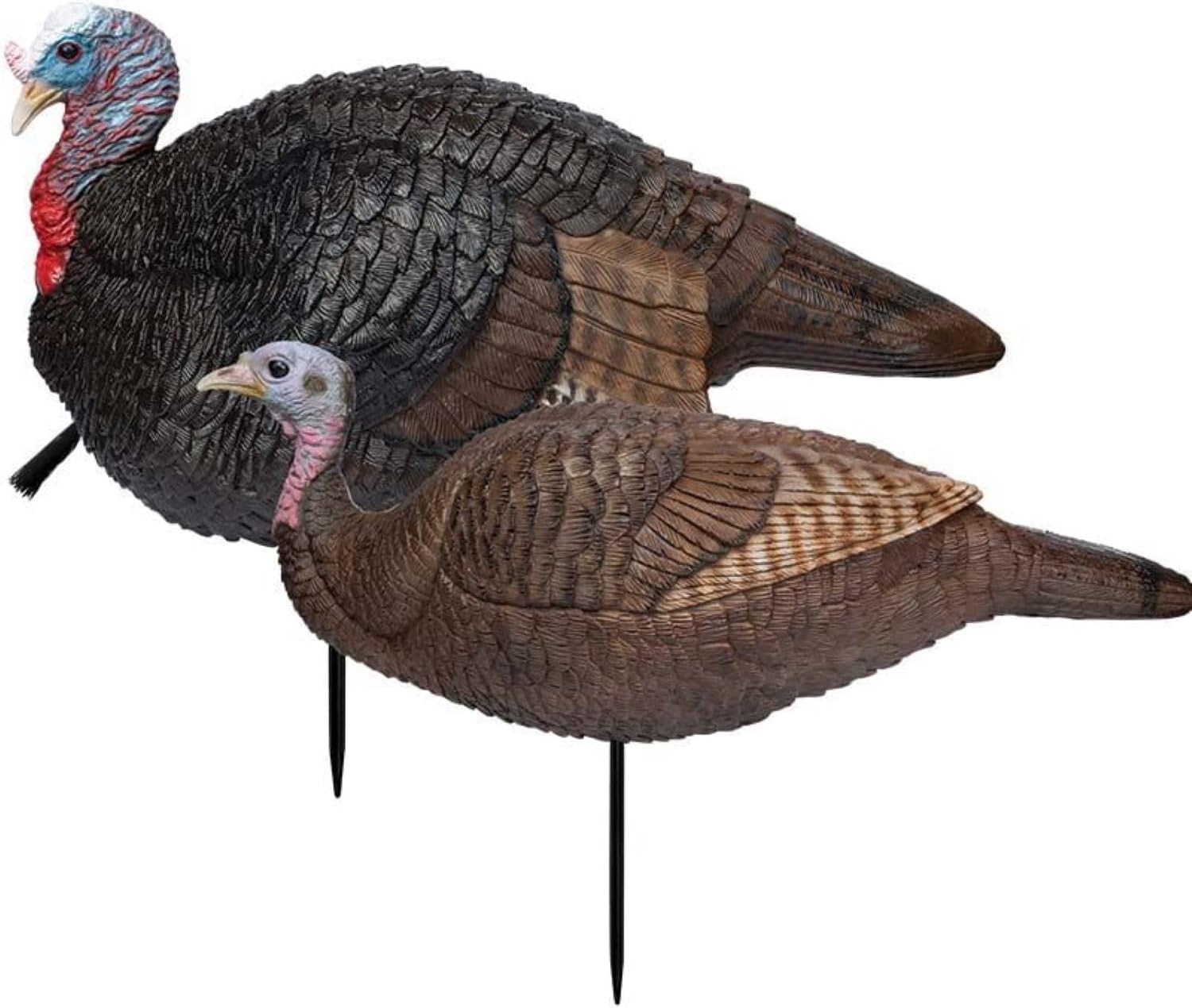 Primos Hunting Lil Gobstopper Hen and Jake Combo Decoy Review