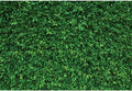 Green Leaves Backdrop by Pnylzzyxh for Parties & Events