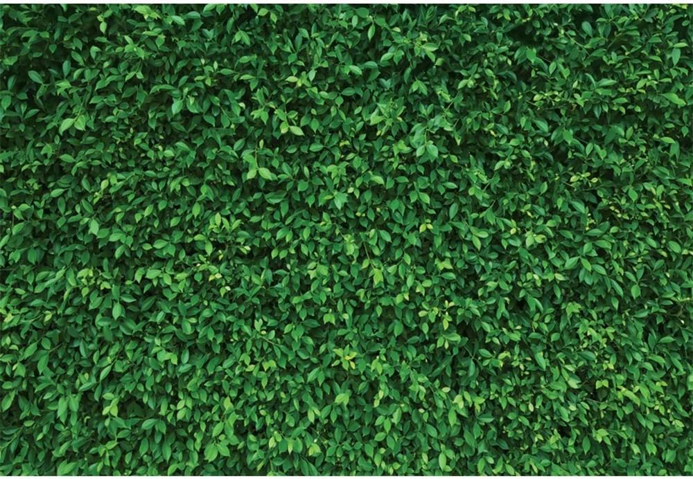 Green Leaves Backdrop by Pnylzzyxh for Parties & Events
