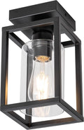 Mayful Flush Mount Ceiling Light Fixture with Clear Glass Shade