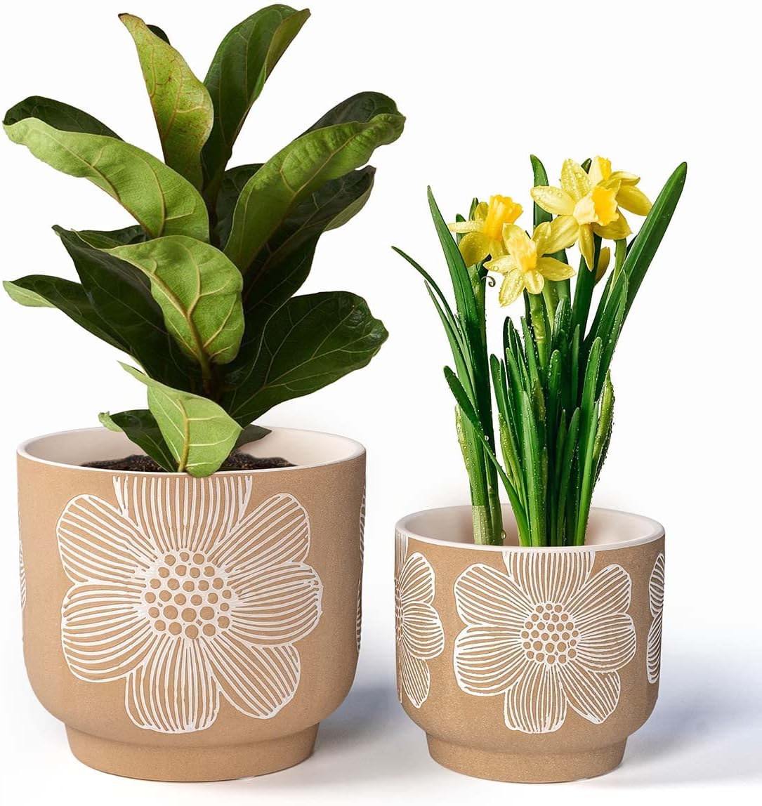YBX 8 Inch and 6 Inch White Flower Pattern Plant Pots Review