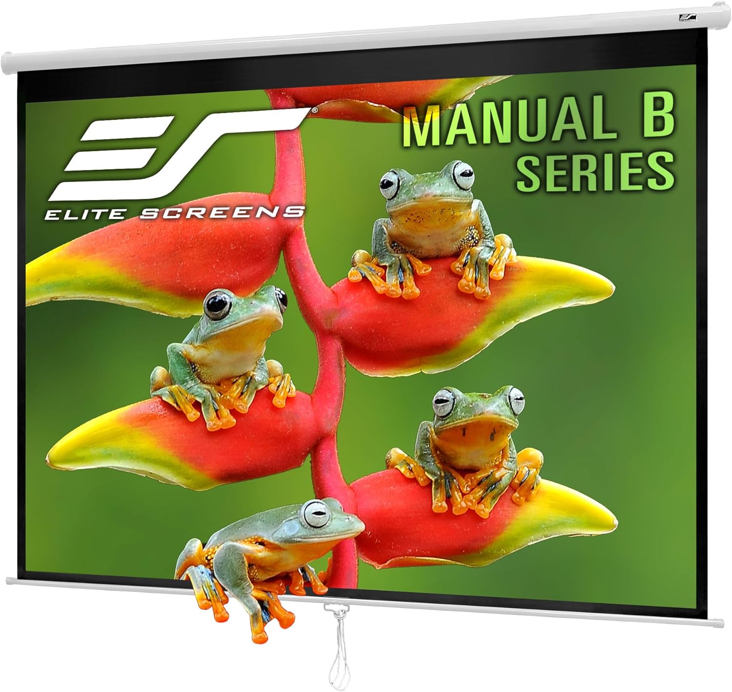 Elite Screens Manual B Series 100-inch Pull Down Projector Screen