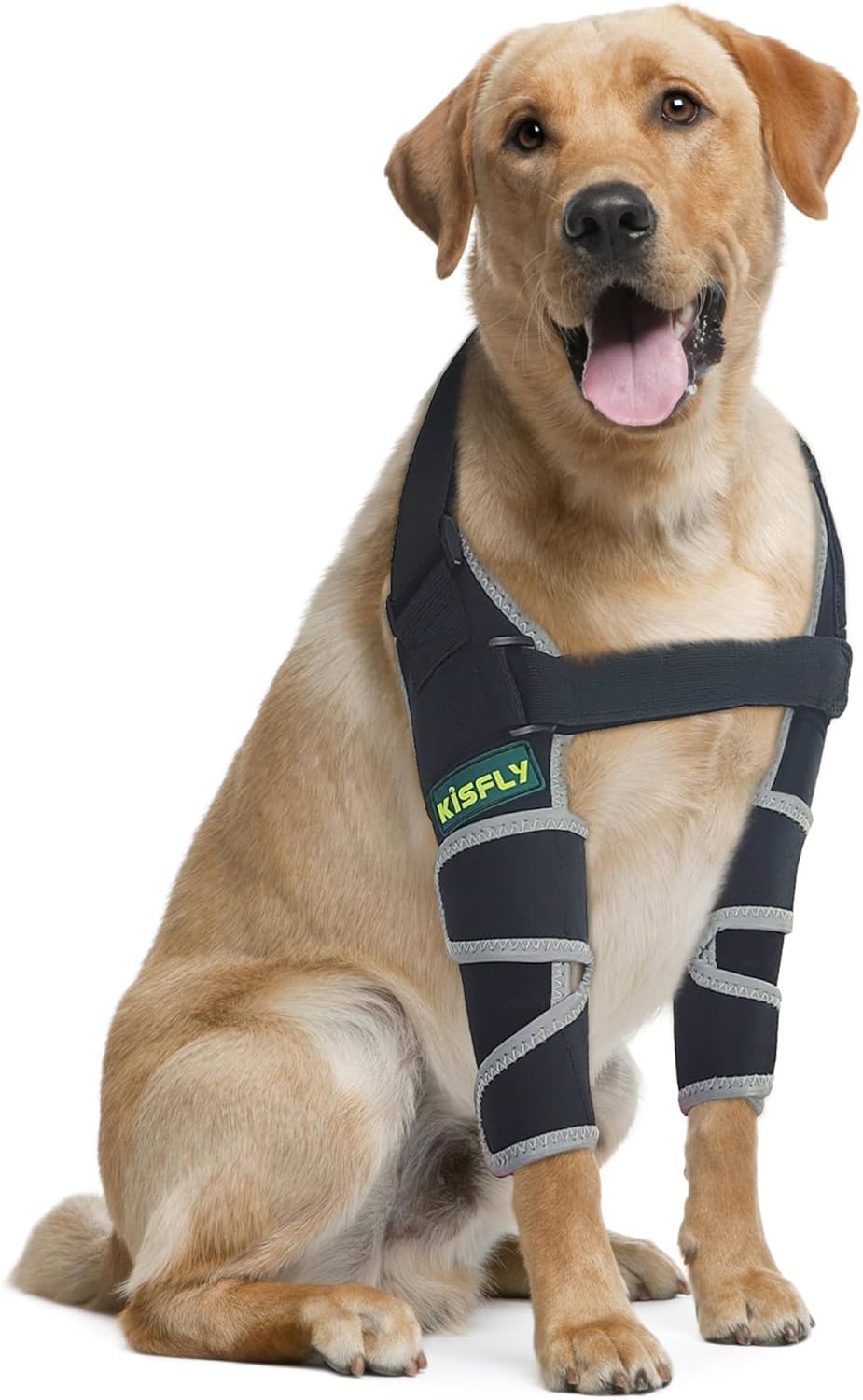 Dog Elbow Brace for Canine Support and Injury Prevention