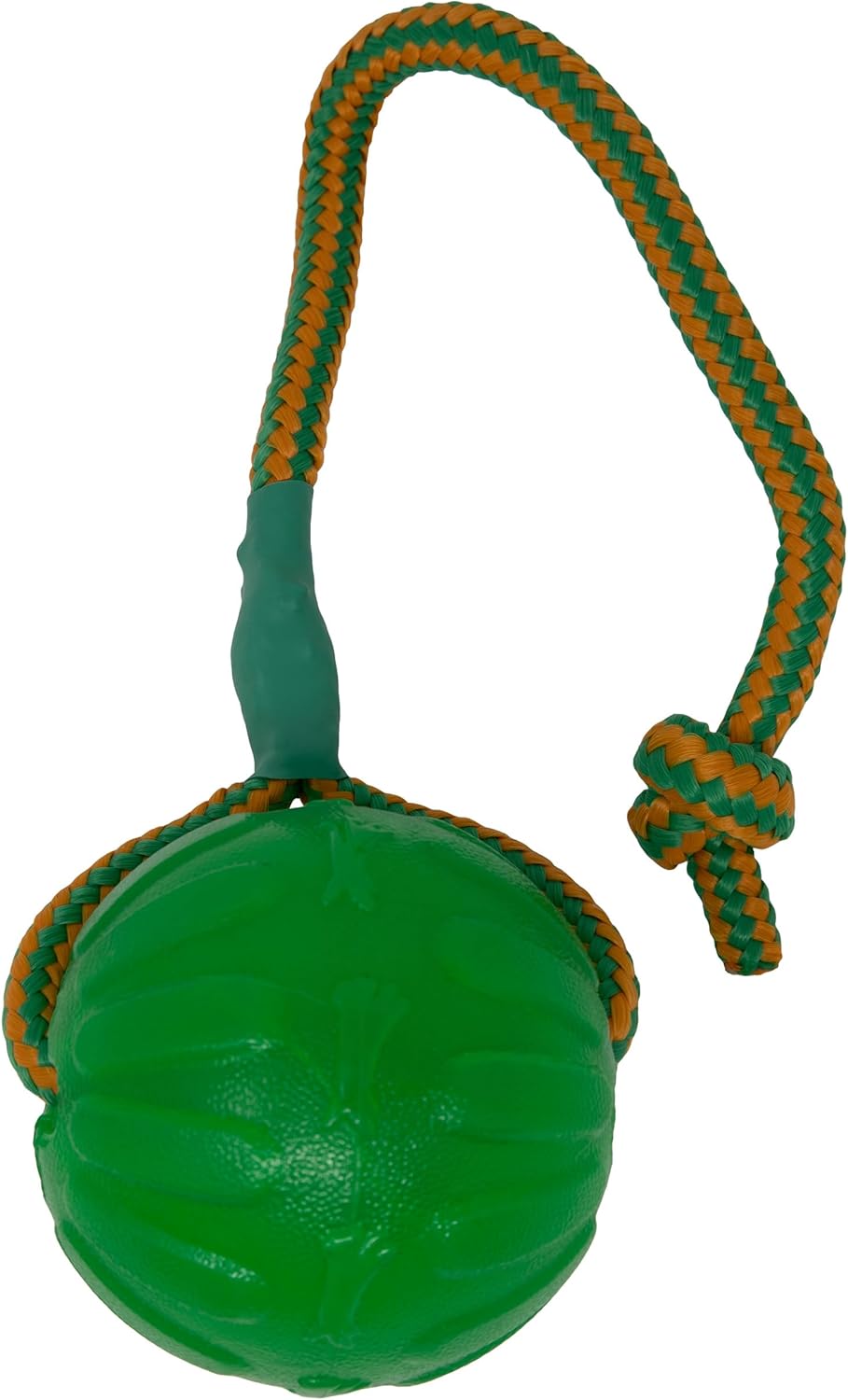 Starmark Everlasting Fun Ball: Entertaining Dog Toy