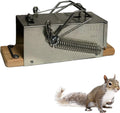 Trap for Big Squirrels - Quick, Durable Outdoor Exterminator