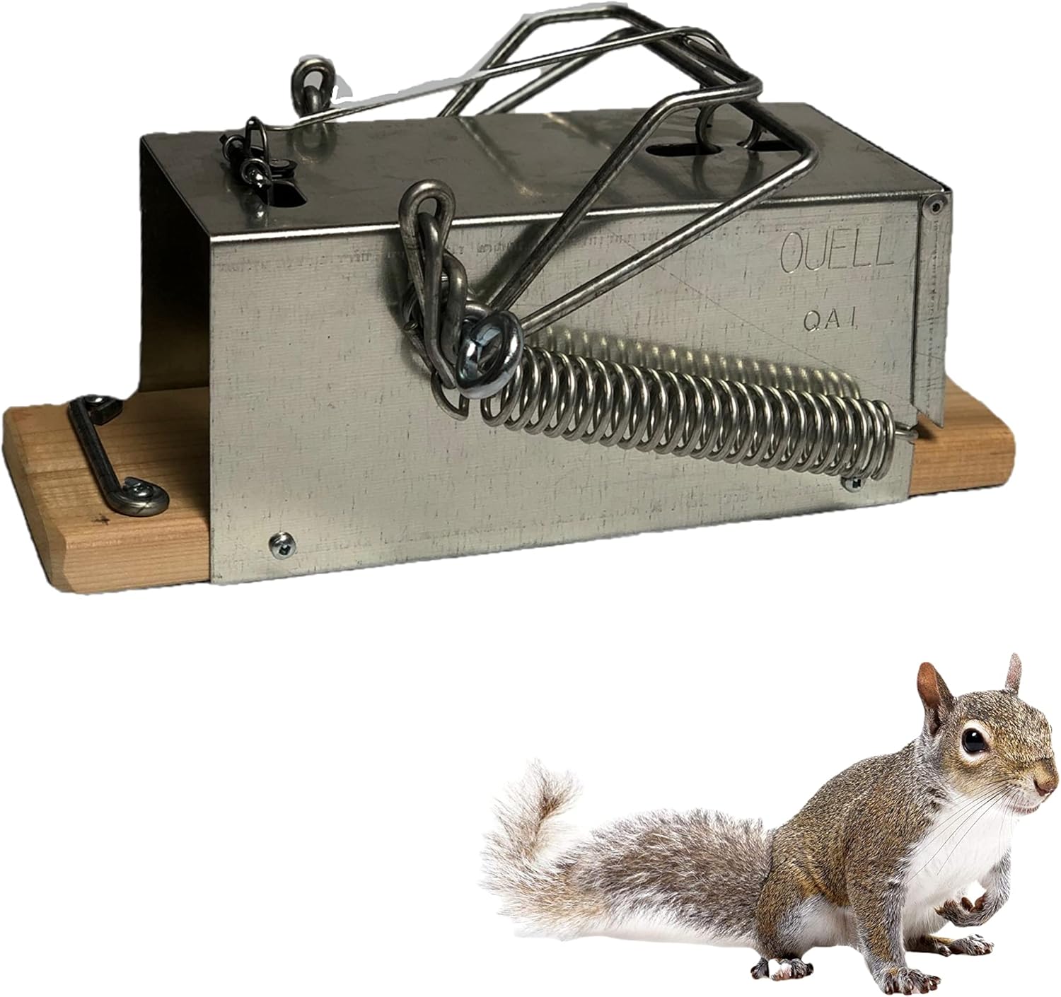 Trap for Big Squirrels - Effective and Durable Squirrel Control