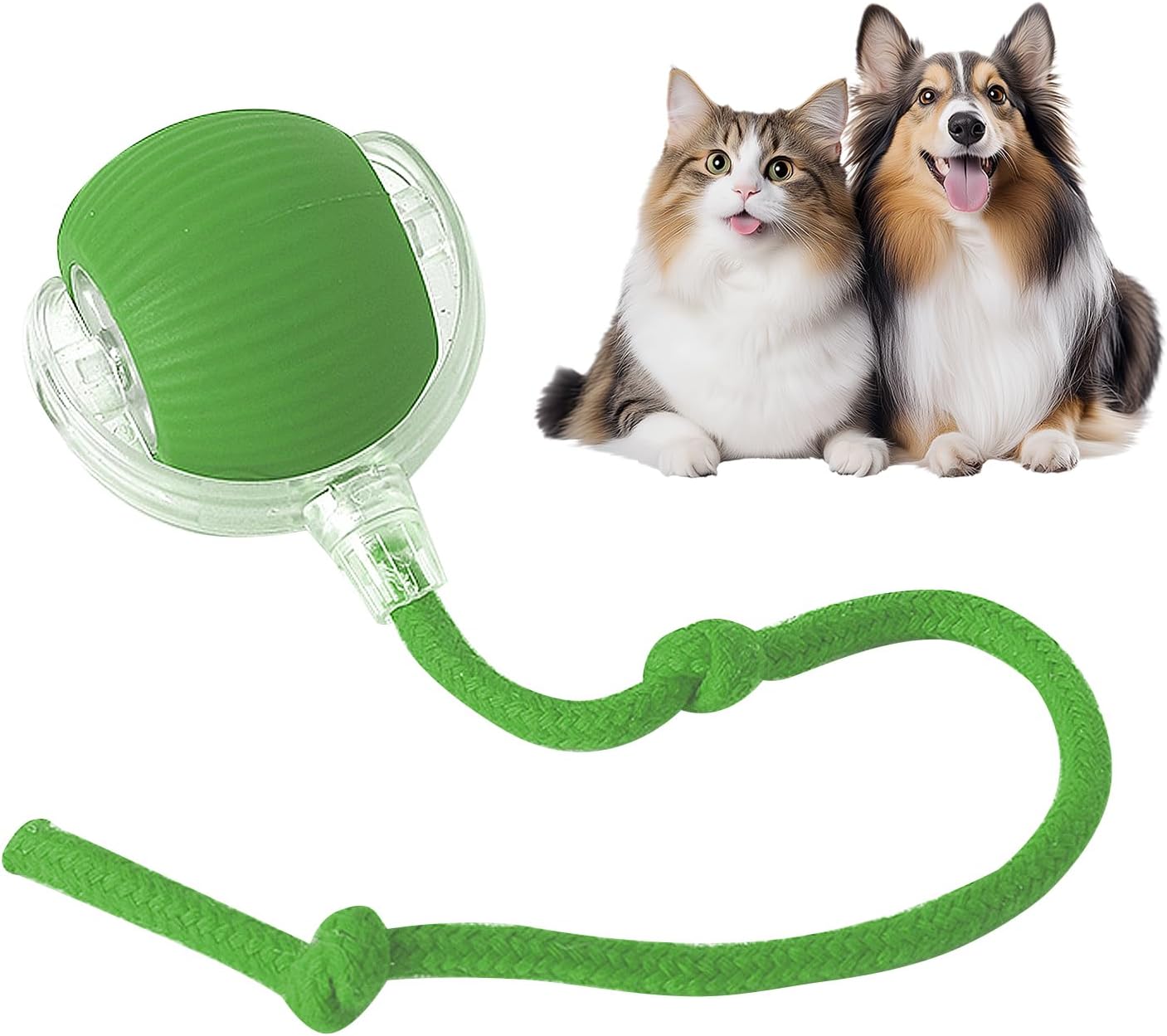 Interactive Smart Pet Ball for Active Play