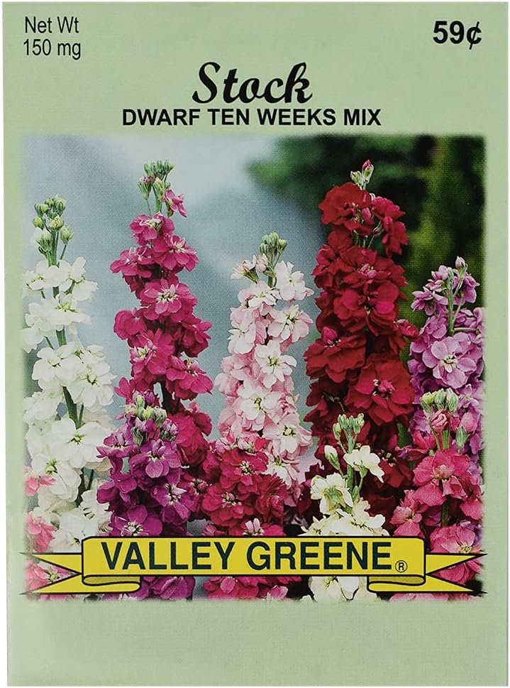 Set of Flower Seed Packets for Your Dream Garden - Non GMO