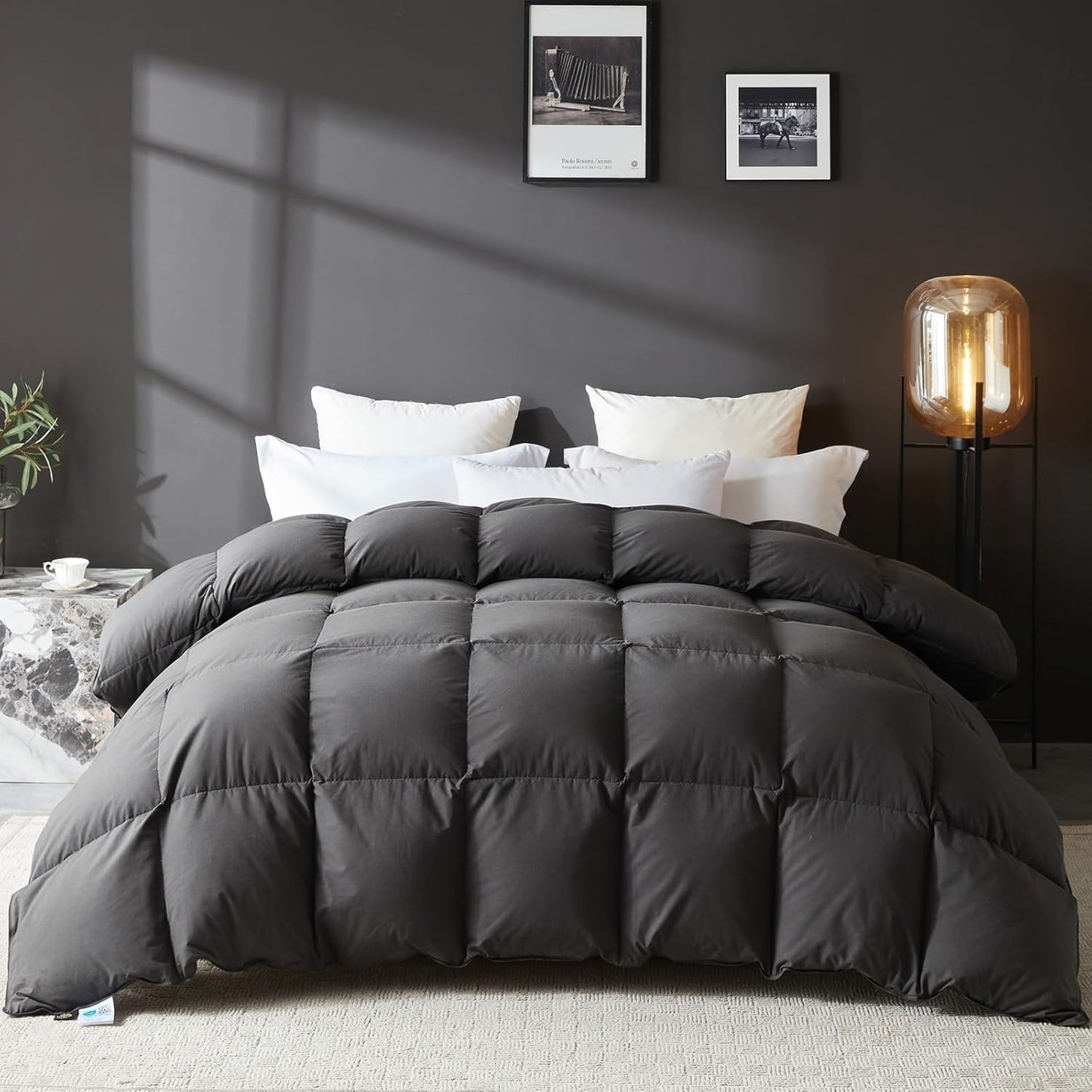 L LOVSOUL Goose Down Comforter for Oversize Queen Bedding