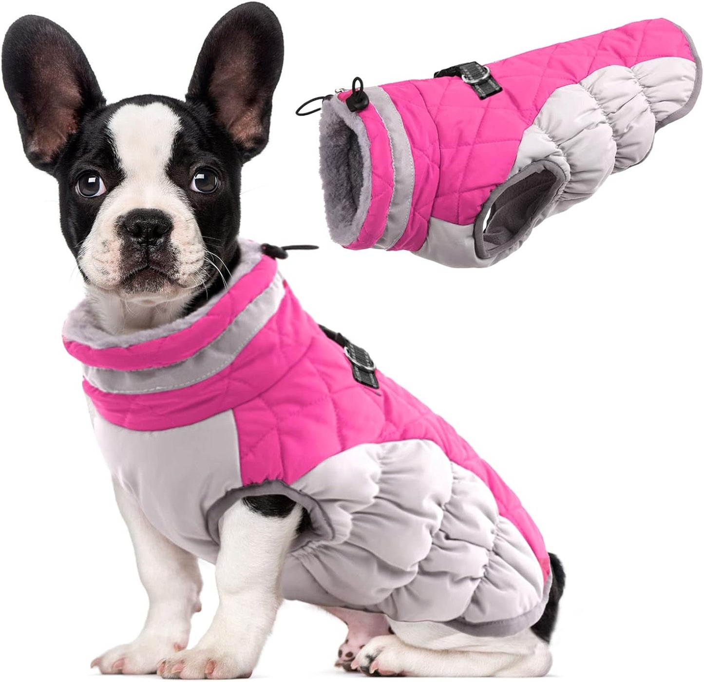 Warm Waterproof Dog Winter Coat with Harness for Medium Dogs