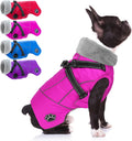 Doglay Dog Coat with Built-In Harness - Waterproof Reflective Winter