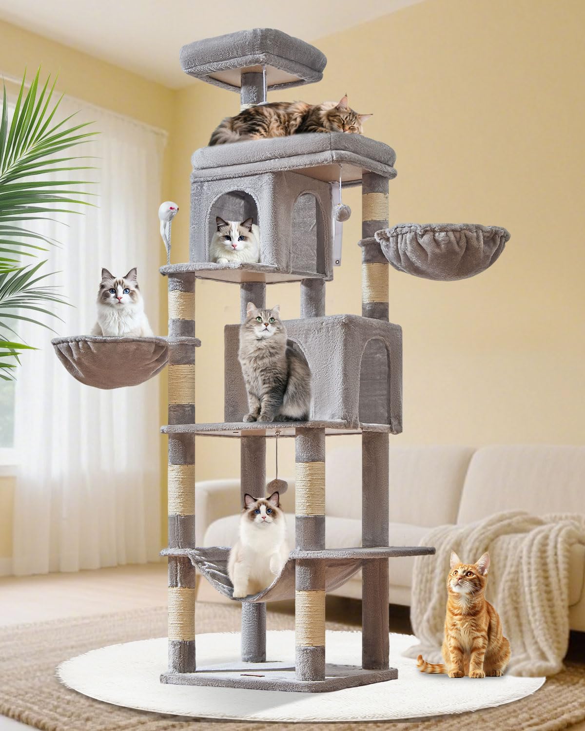 Taoqimiao 77-Inch Cat Tree for Large Cats with Multi-Level Design