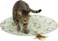 Mystery Motion Concealed Electronic Motion Cat Toy - Entertaining
