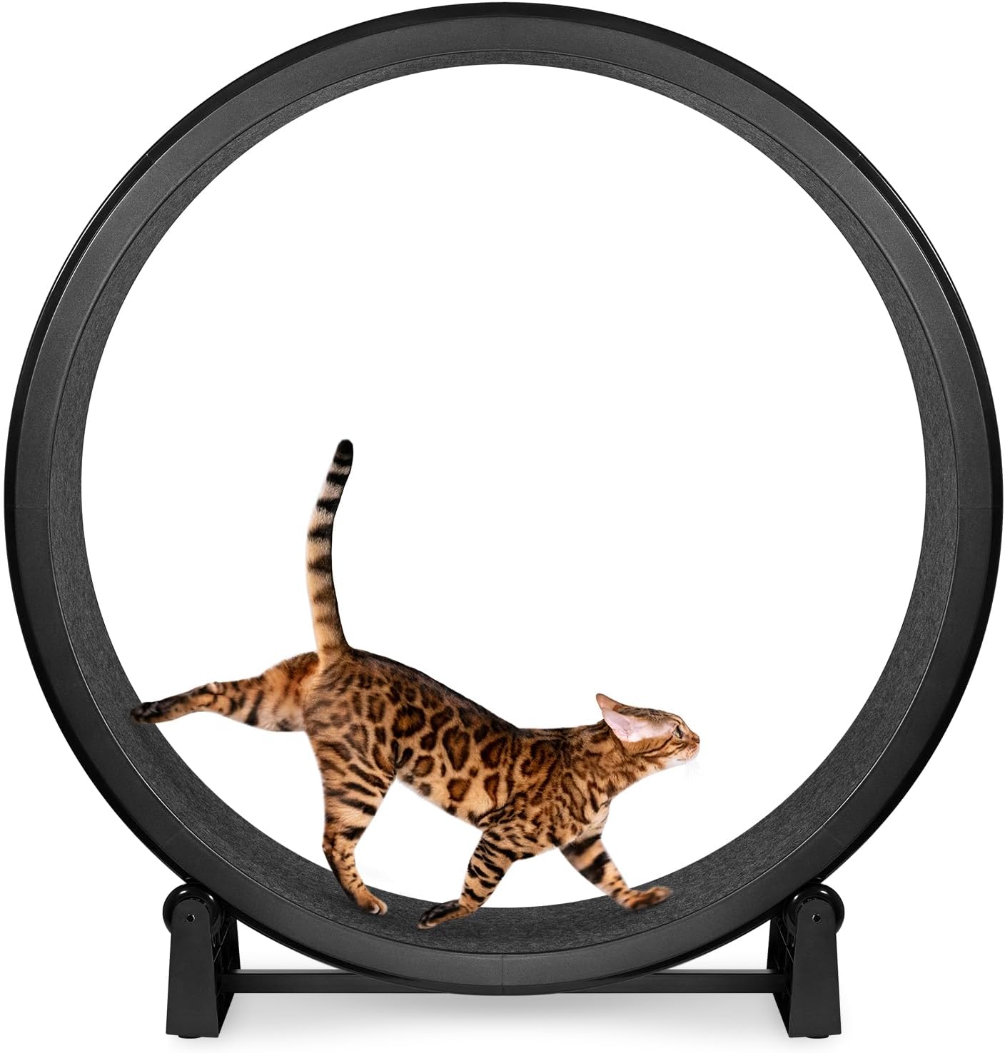 One Fast Cat Exercise Wheel - Safe 48 Inch Diameter for Cats