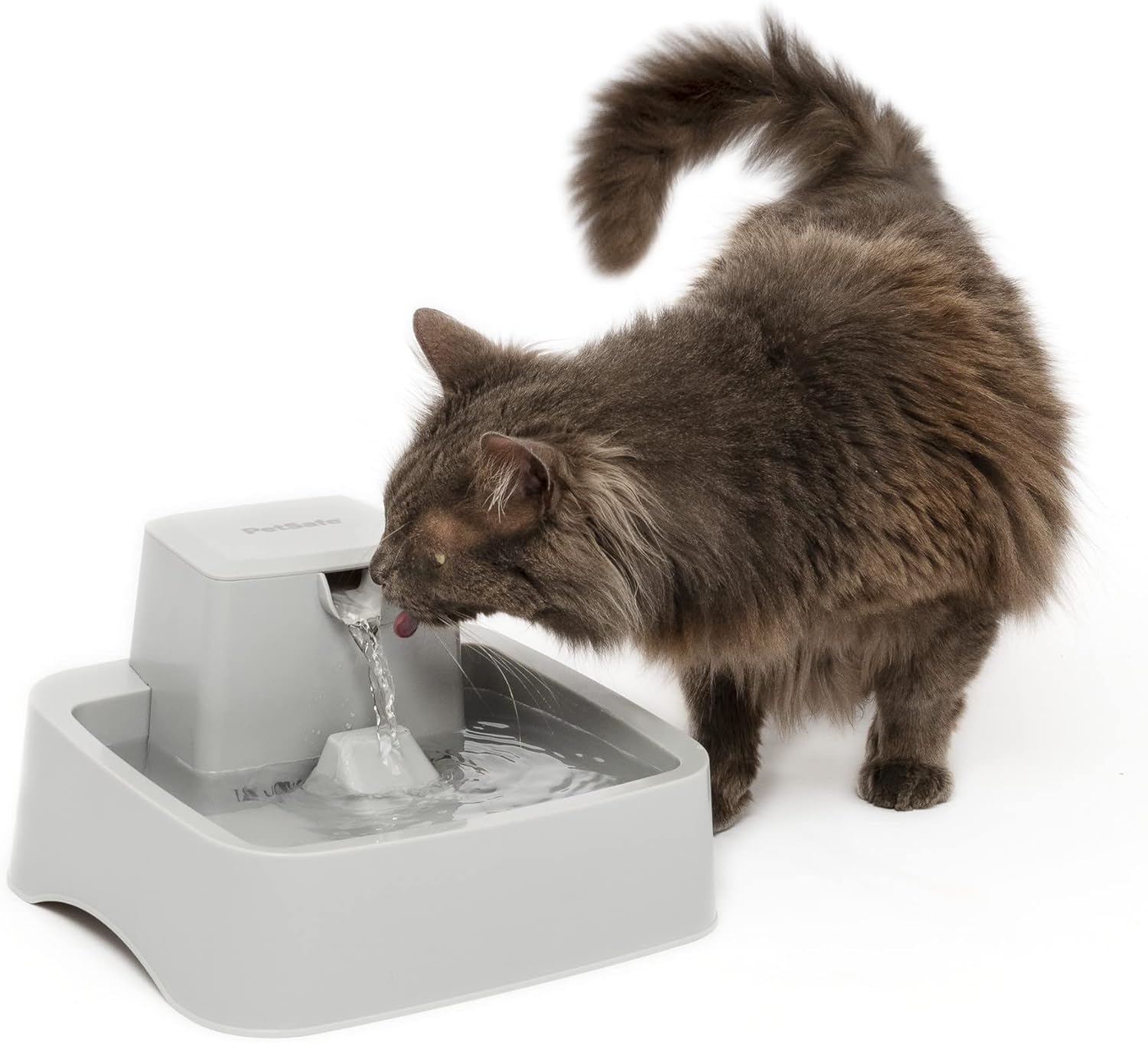 PetSafe Oasys 1/2 Gallon Pet Fountain for Cats and Dogs