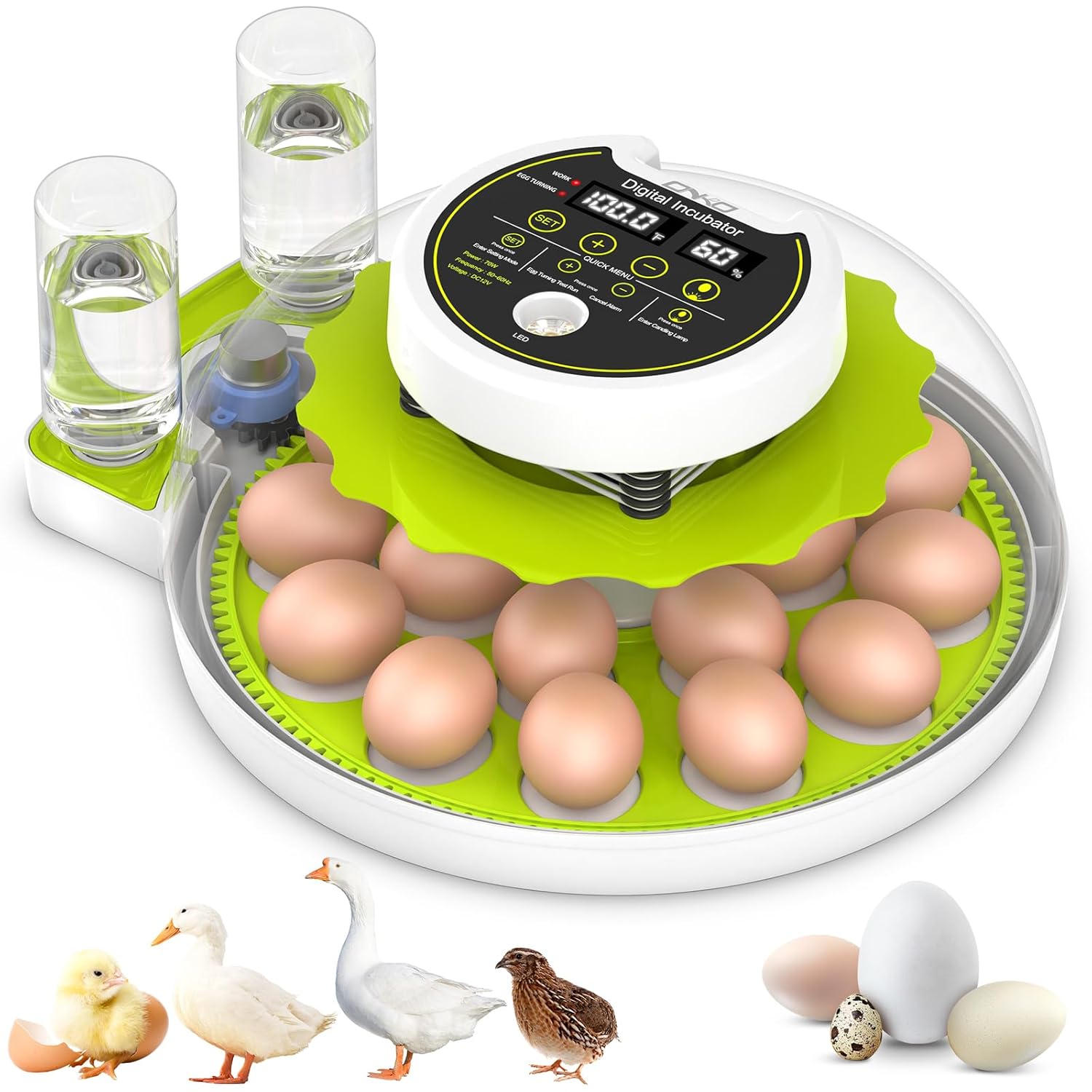 Egg Incubator with Automatic Turning and Humidity Control