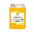 100% Pure Extra Virgin Unrefined Cold Pressed Camelina Seed Oil (64