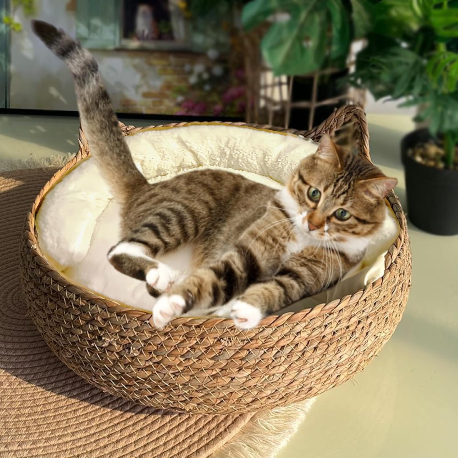 Natural Cat Bed Straw Nest Woven Pet House for Cozy Naps
