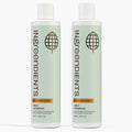 Non Toxic Vegan Shampoo with Organic Ingredients - 2-Pack