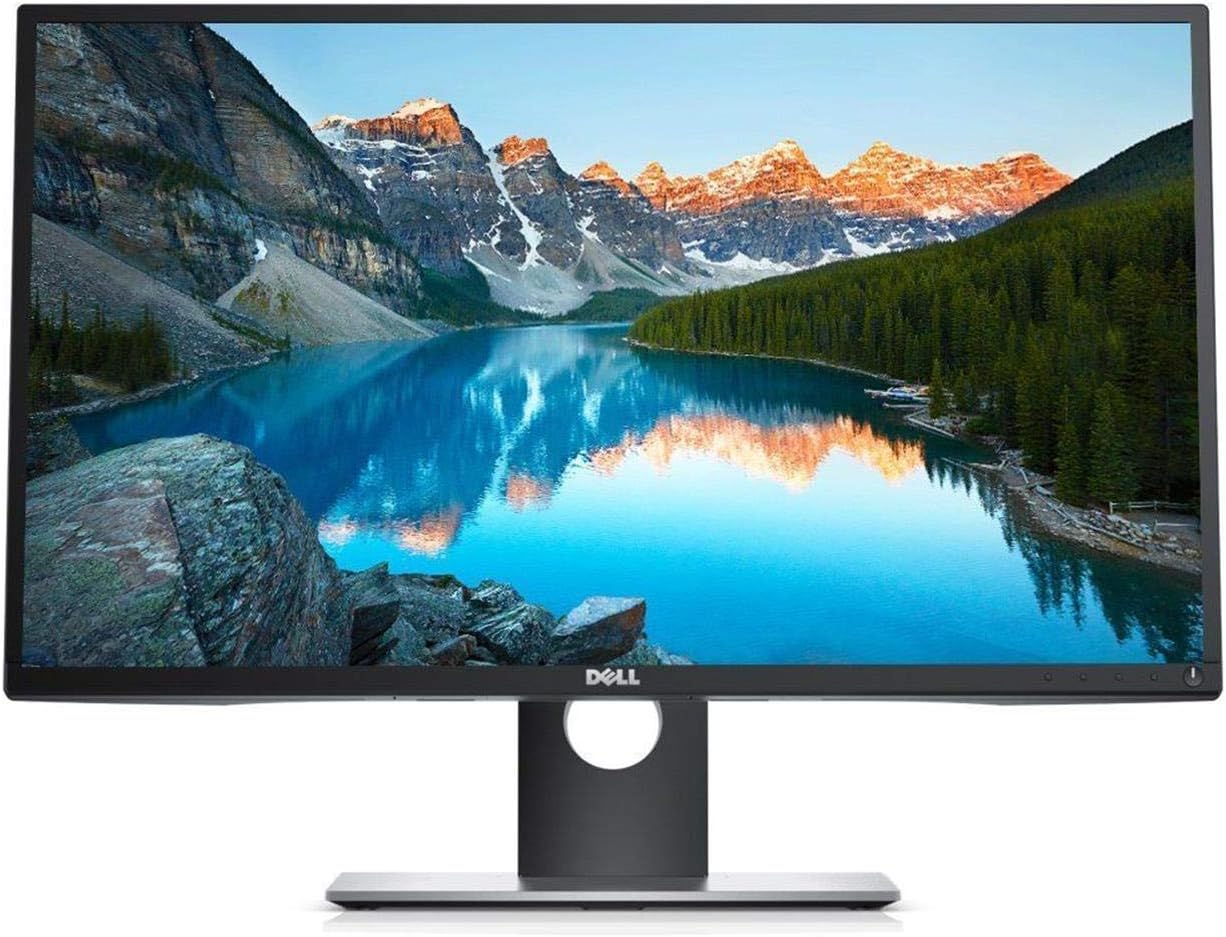 DELL P2417H-R Professional 23.8in LED-Lit Monitor Review