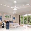 Outdoor Ceiling Fan with Light 52 in - Quiet DC Motor & Dimmable LED