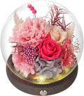 Forever Flower Rose Birthday Gifts for Women - Preserved Pink